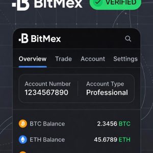 Buy Verified BitMex Account
